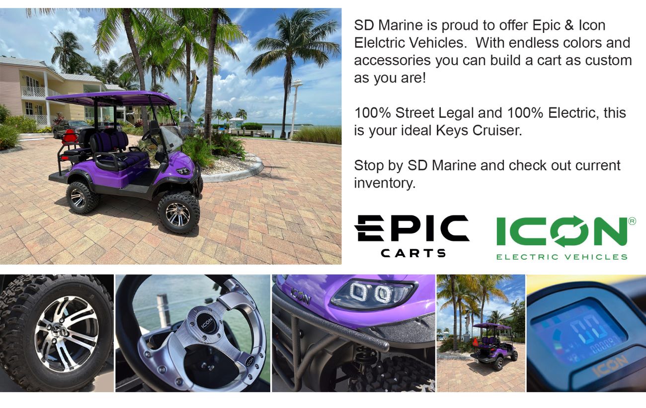 Electric vehicles by SD Marine Group.